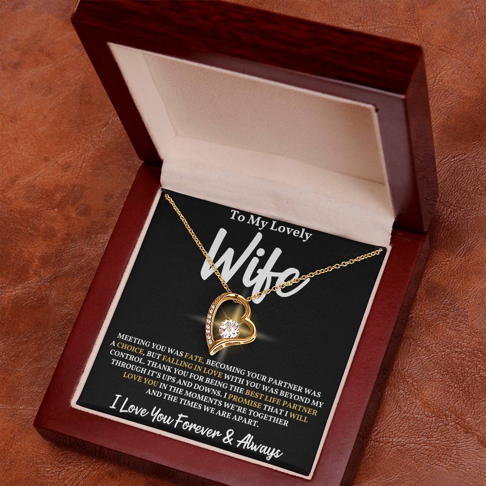 To My Wife - Meeting You Was Fate Necklace