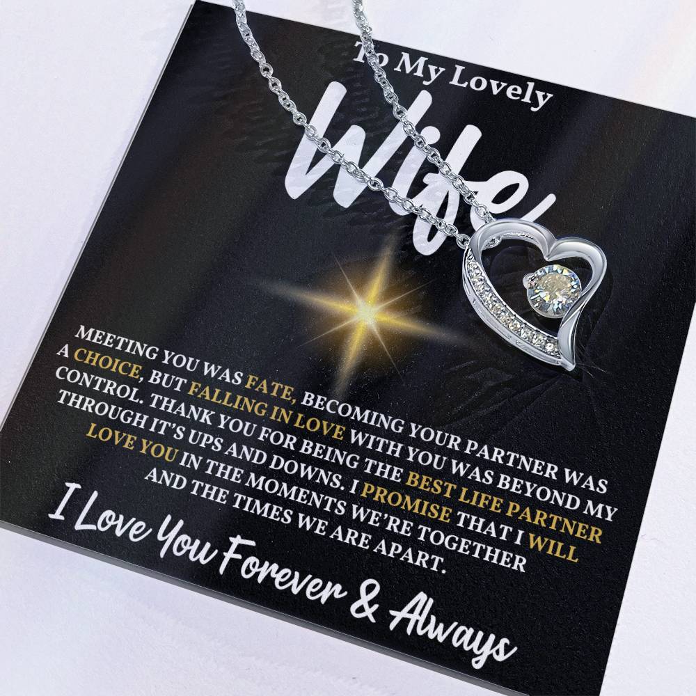 To My Wife - Meeting You Was Fate Necklace