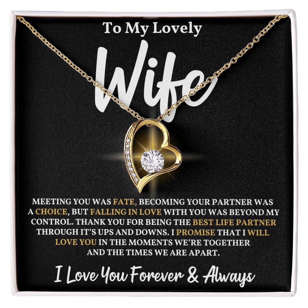 To My Wife - Meeting You Was Fate Necklace
