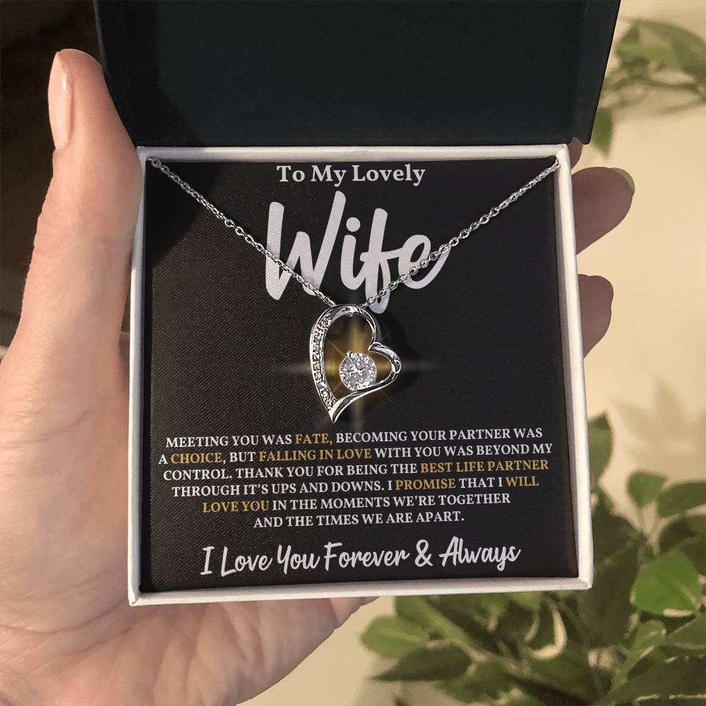To My Wife - Meeting You Was Fate Necklace