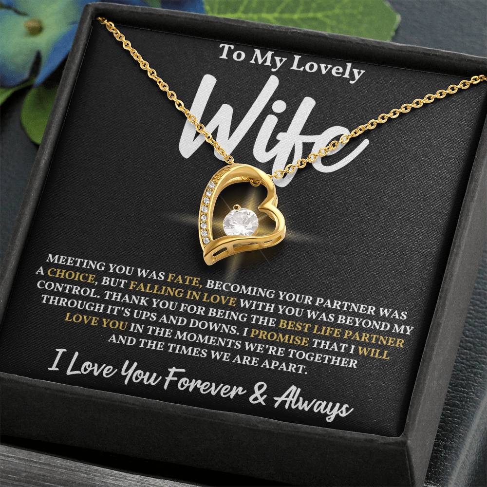 To My Wife - Meeting You Was Fate Necklace